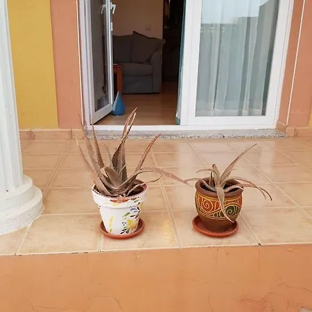 Dam Apartament *